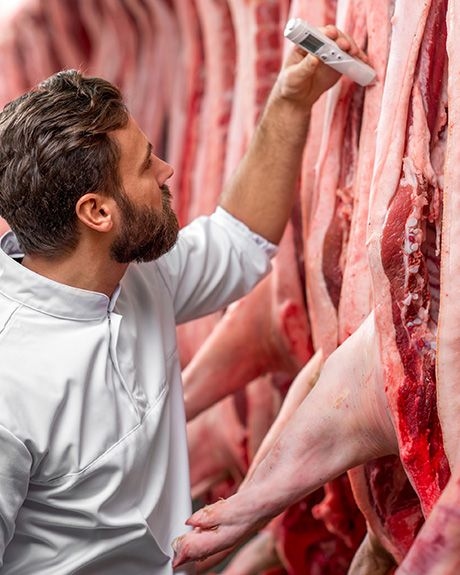 Man inspecting meat